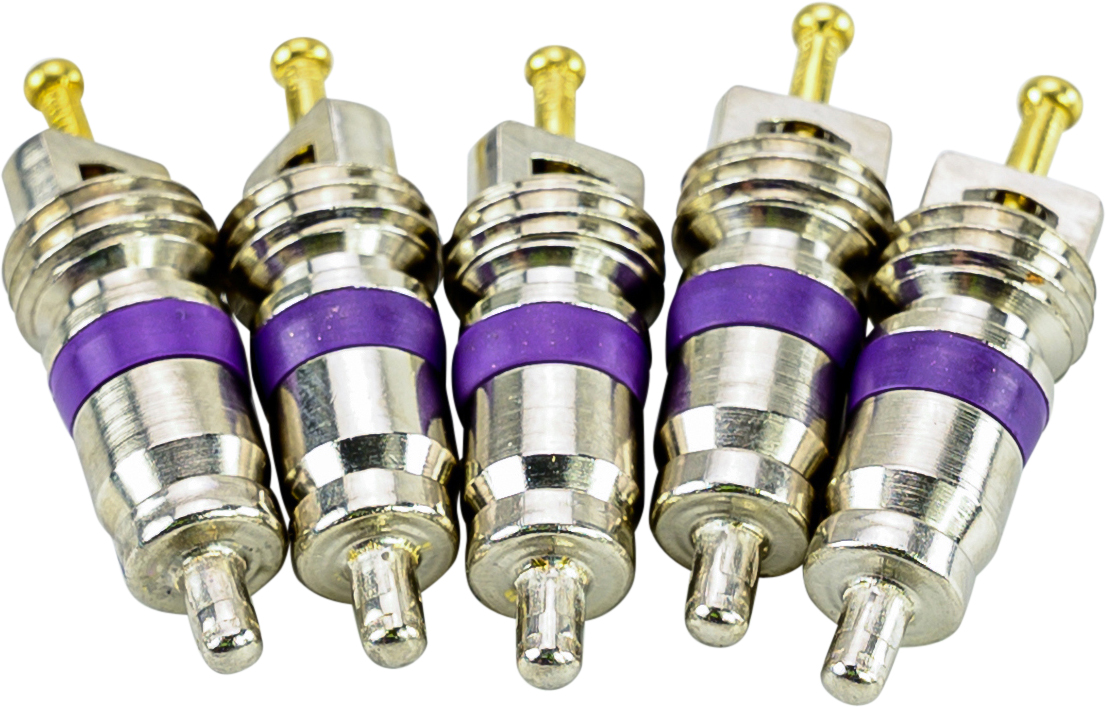 VALVE CORE, R134A, HIGH FLOW, LARGE, AUDI, VW, MERCEDES, BMW (PACK)