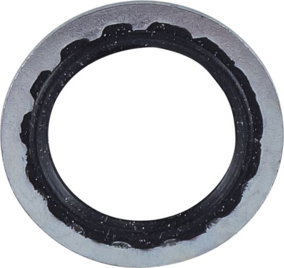 WASHER, COMPRESSOR, DELPHI, PAD, FLAT SECTION, 17MM ID, HOLDEN COMMODORE VE (PACK 10)