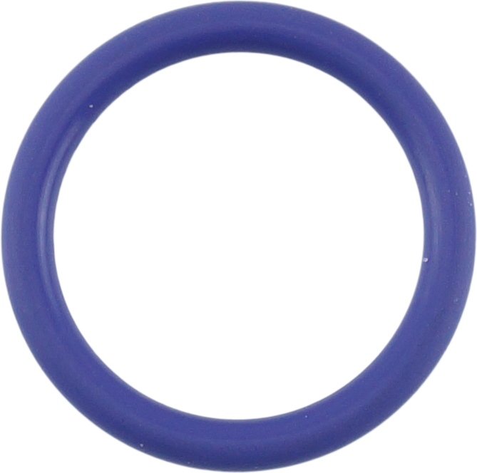 HOSE O-RING, HNBR, AUDI, FORD, VOLKSWAGEN, 17MM ID, PURPLE R134A (PACK OF 20)