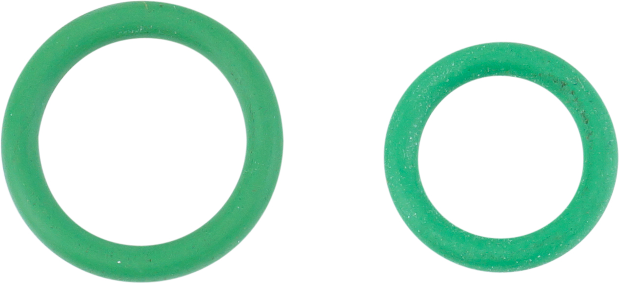 O-RING KIT, R134A, COUPLER R-19150, R-19115 (PACK OF 20)