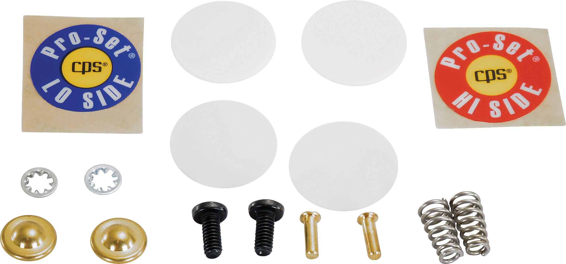SEAL KIT, CPS, VALVE, MANIFOLD REPAIR, SUITS PRO-SET M2XRK