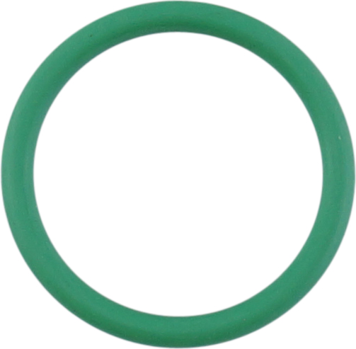 VALVE, O-RING, 15MM, JAGUAR NISSAN, INFINITI